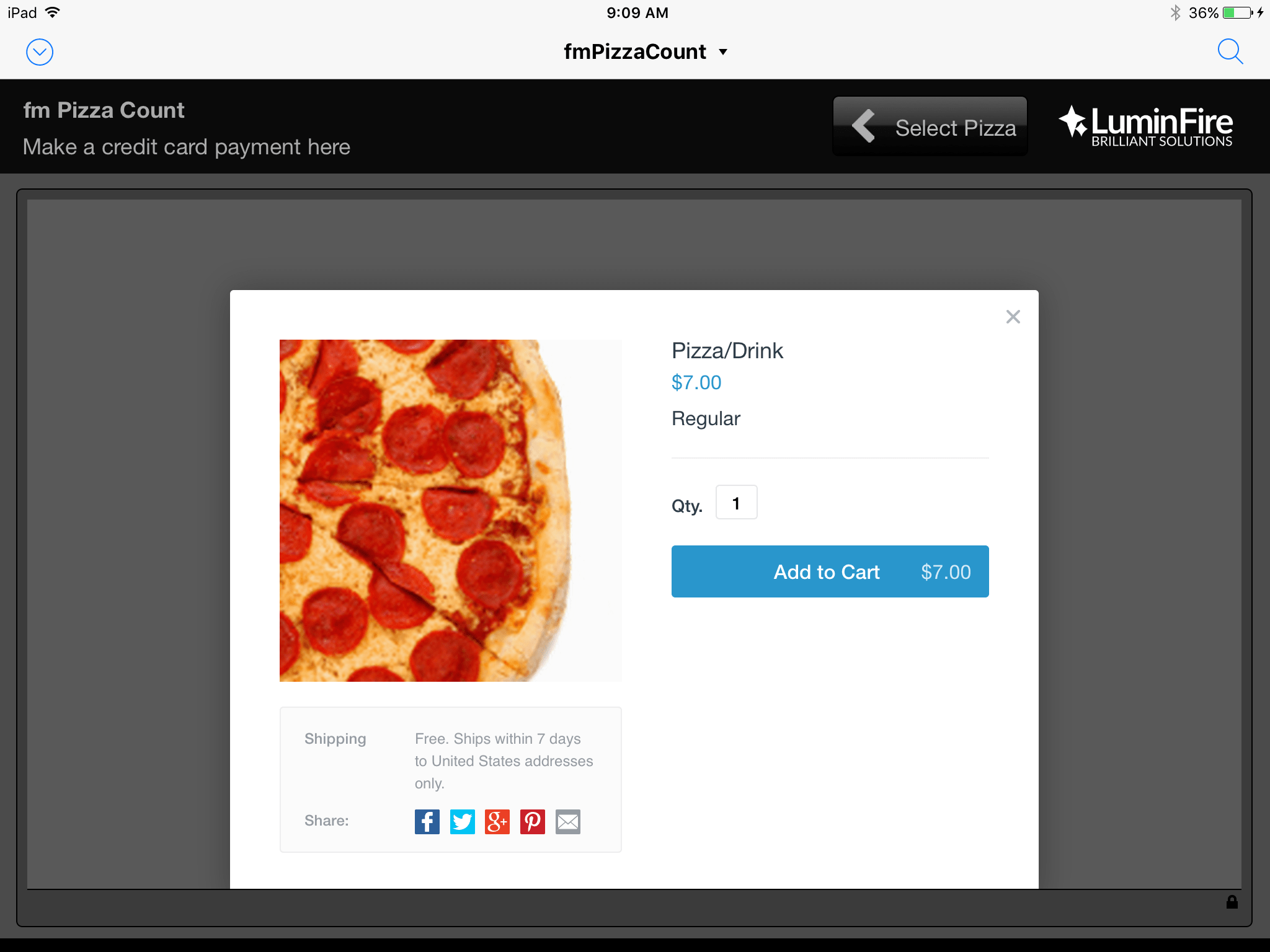 FileMaker Go Pizza Counter for iPad 5