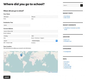 Brilliant Geocoder for Gravity Forms Screenshot