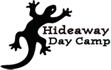 Hideaway Day Camp Streamlines Registration Process with BrilliantSync WordPress to FileMaker Connection