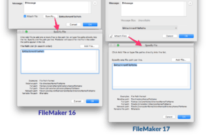 FileMaker 17, Meet Email Attachment Number 2