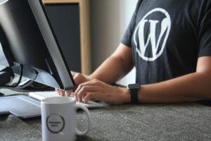 How to provide a developer access to your WordPress site